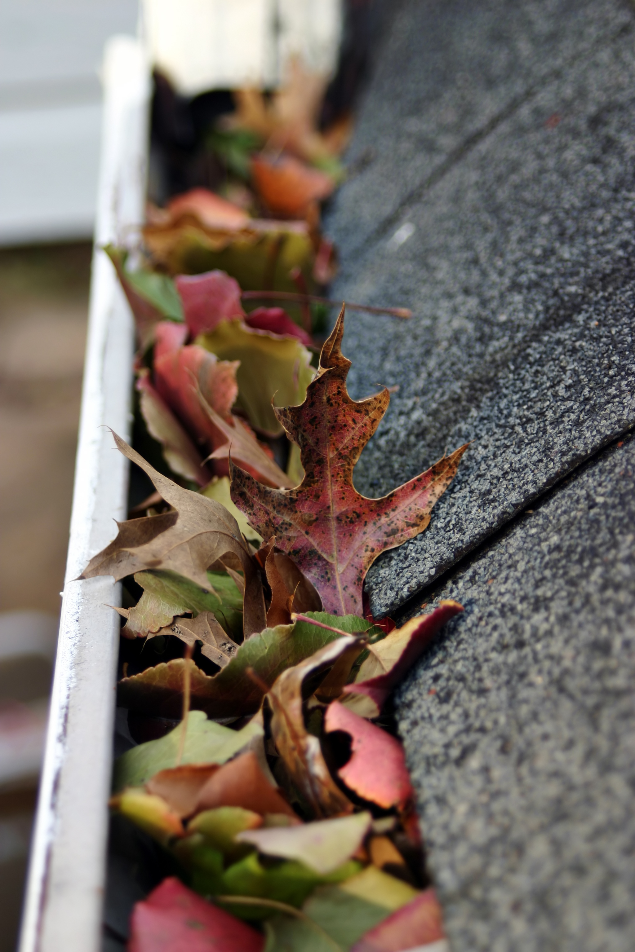 Gutter Cleaning in Hanover, PA
