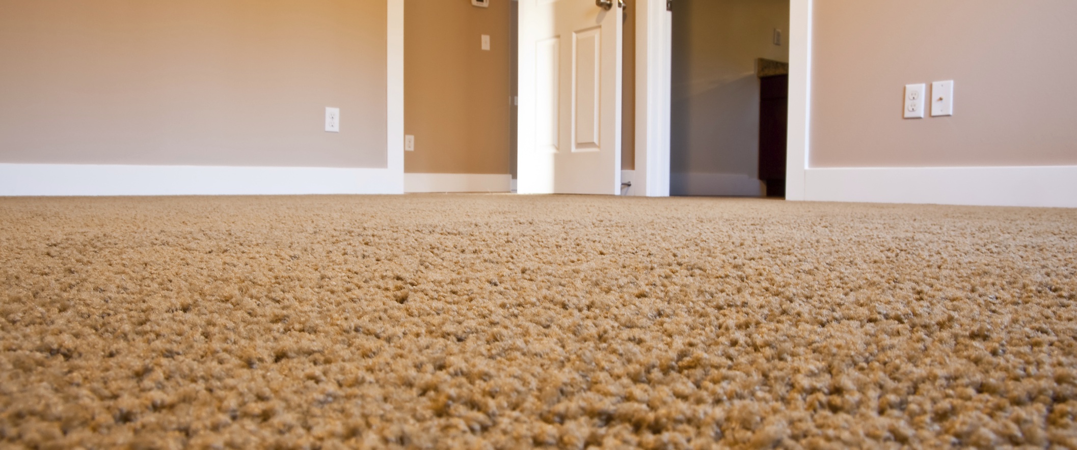 Why use a professional carpet cleaning service?