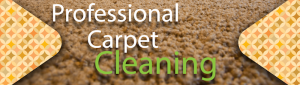 Professional Carpet Cleaning & Rug Cleaning Services York, PA