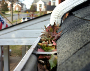 Gutter Cleaning in Hanover and York, PA